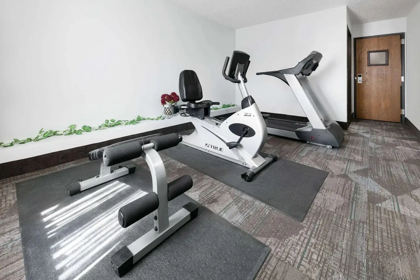 Super 8 by Wyndham Grapevine DFW Airport Northwest Gym view